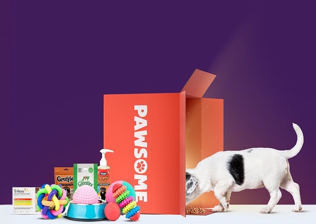 Pawsome Pet Food dog in a box