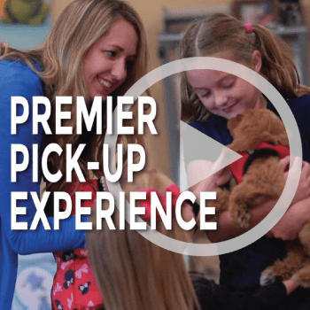 Premier Pickup Experience