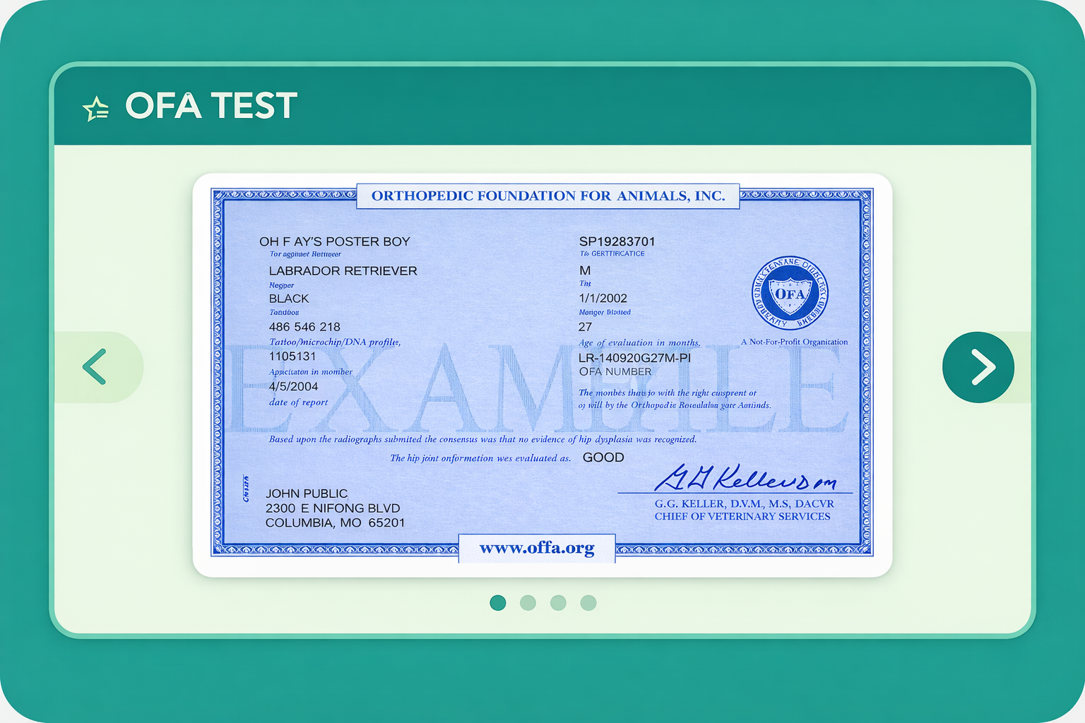 OFA health testing and screening for breeding dogs