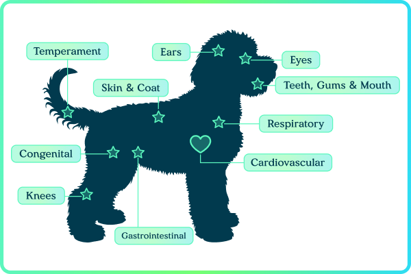 VetScan Imagyst AI-assisted fecal parasite screening system