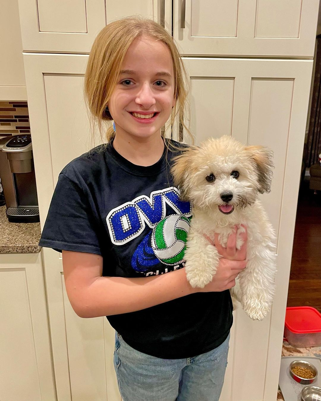 Petite Havanese Purebred Puppy