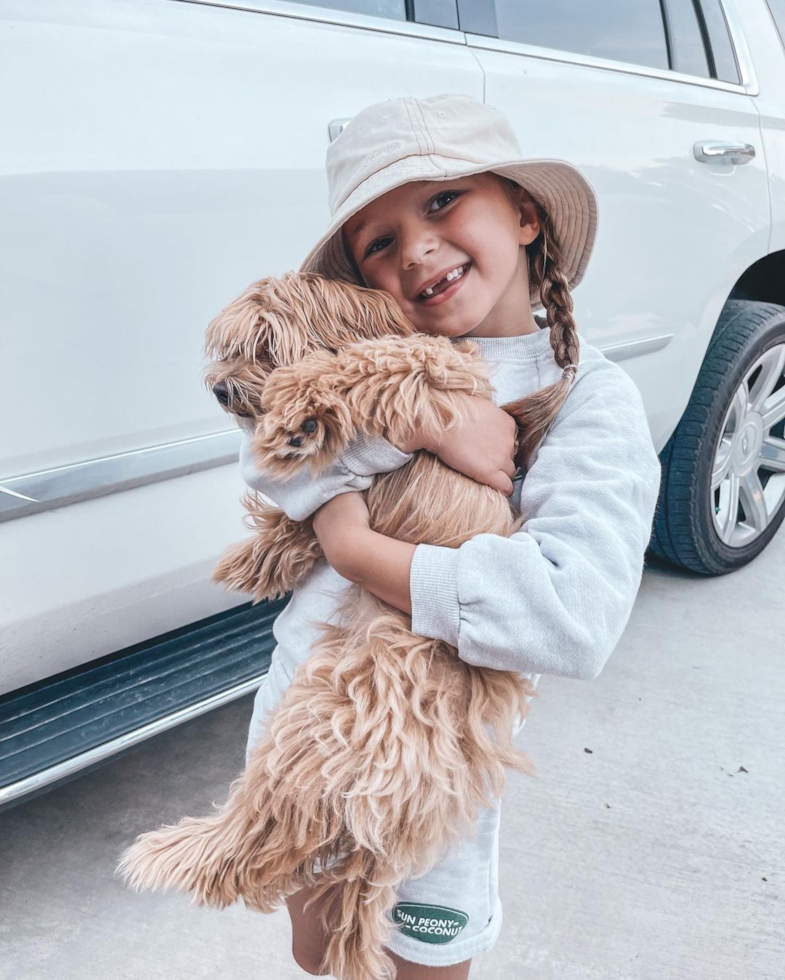 Overland Park Maltipoo Pup