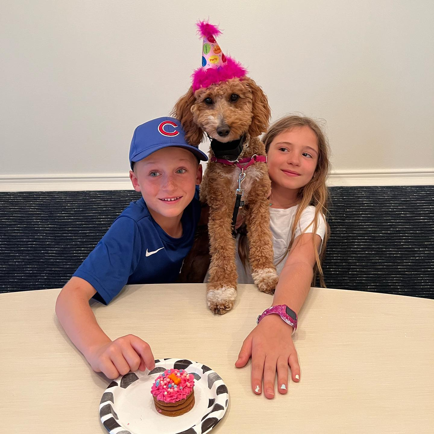 Best Mini Goldendoodle Baby