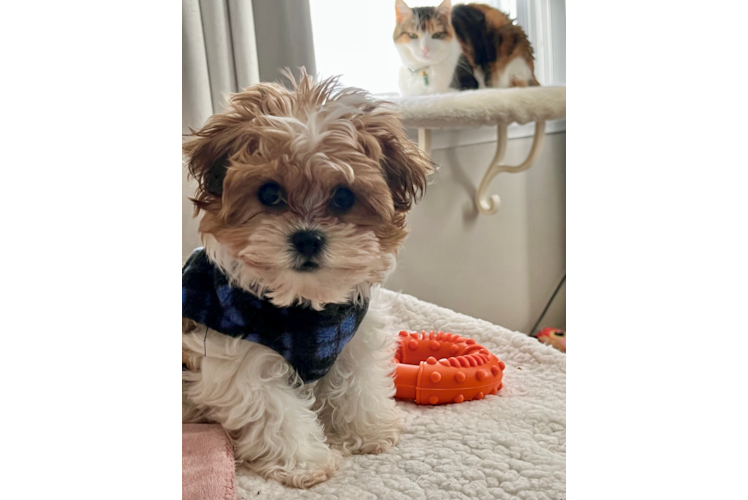 Best Teddy Bear Baby