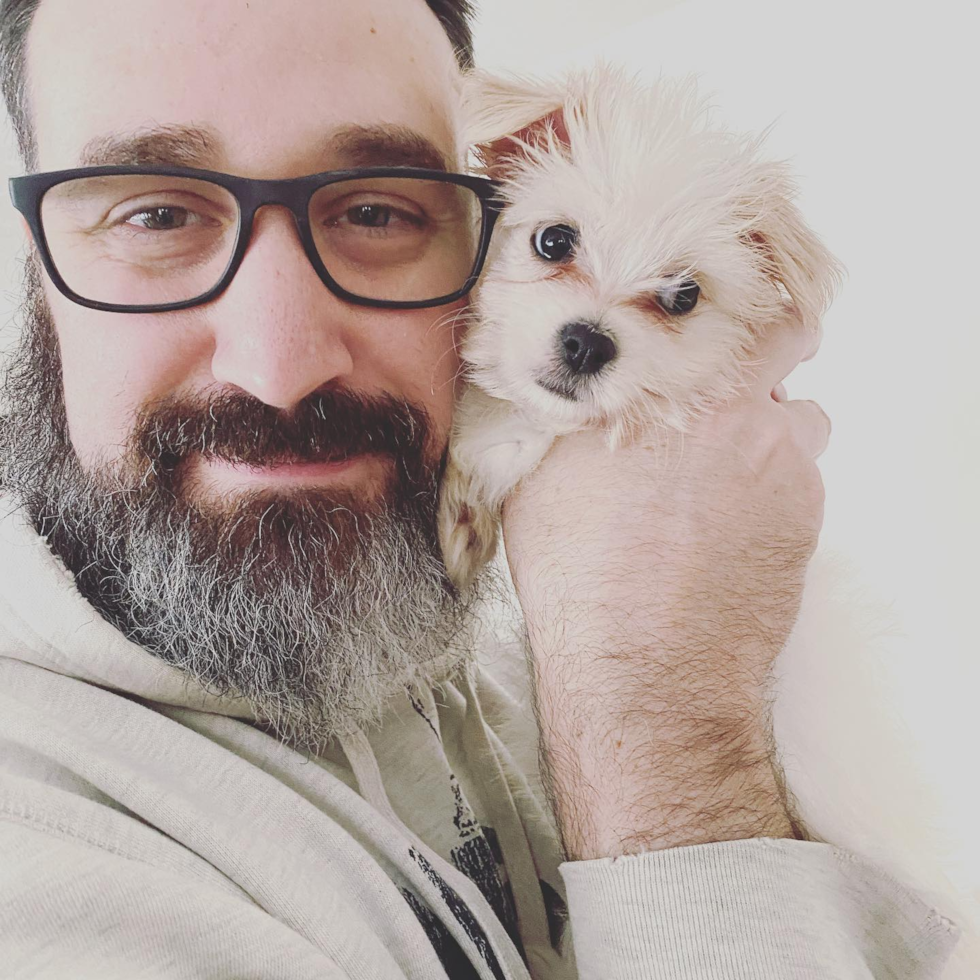 Small Teddy Bear Pup in Gahanna OH