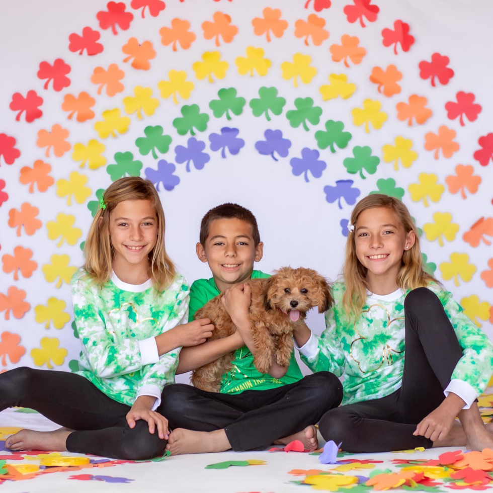 Santa Clarita Cavapoo Pup