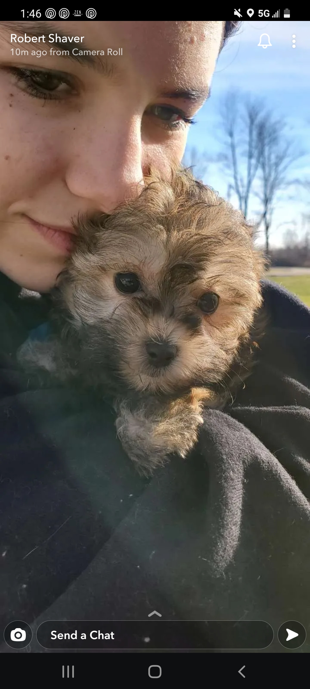 Happy Maltipoo Baby