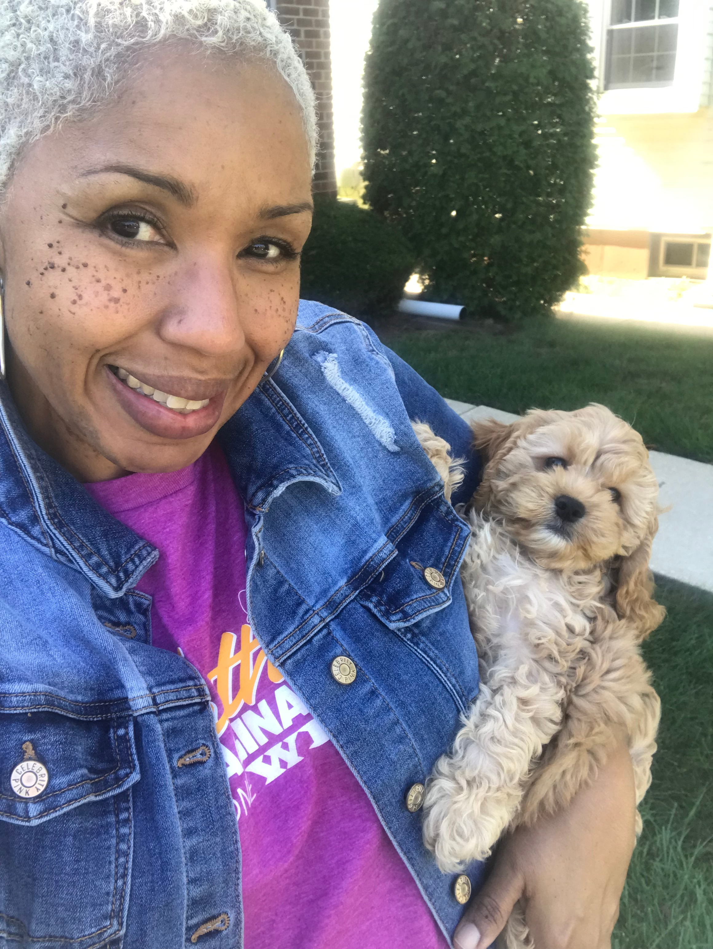 Cute Cockapoo Baby