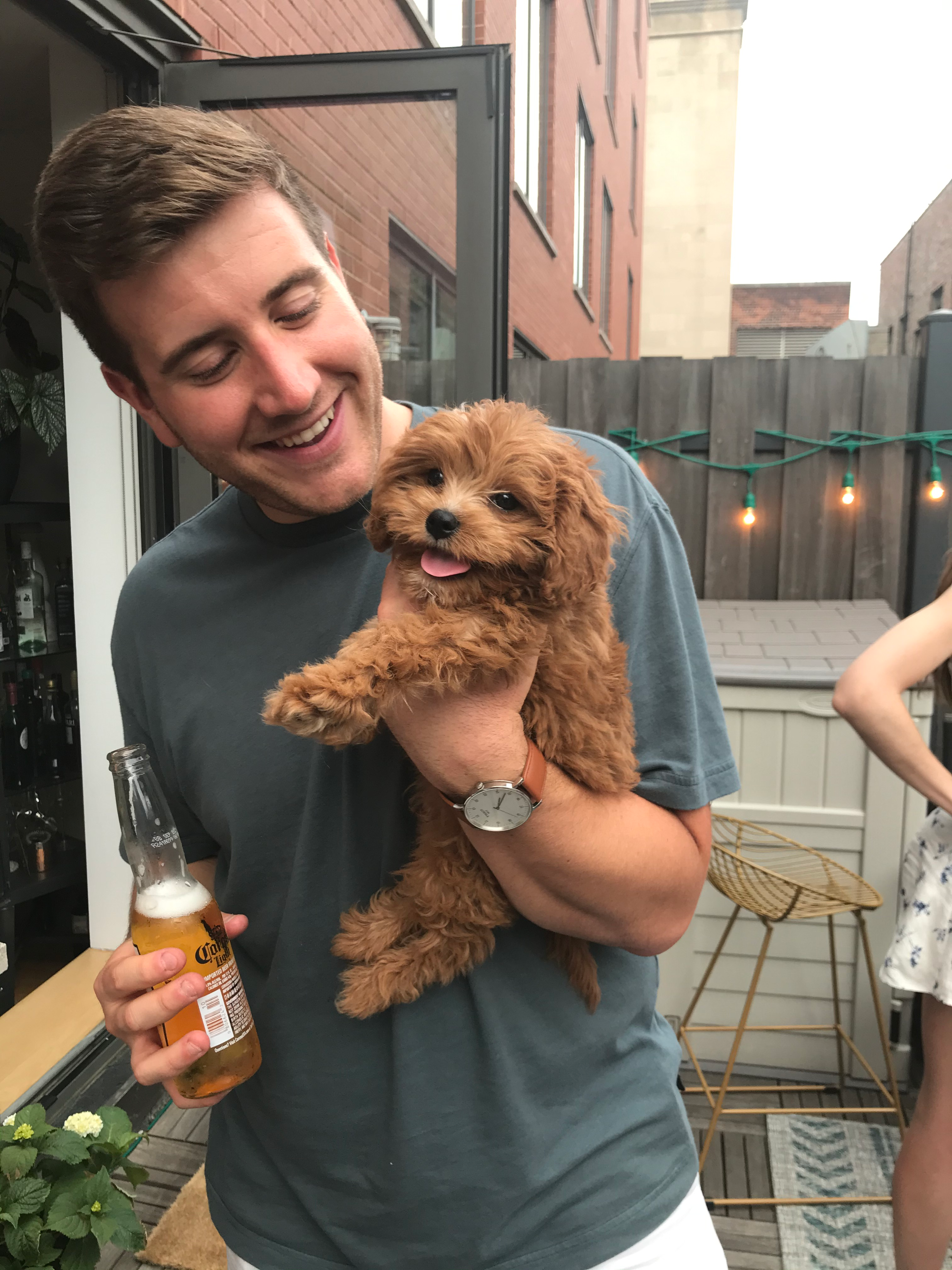 Best Cavapoo Baby