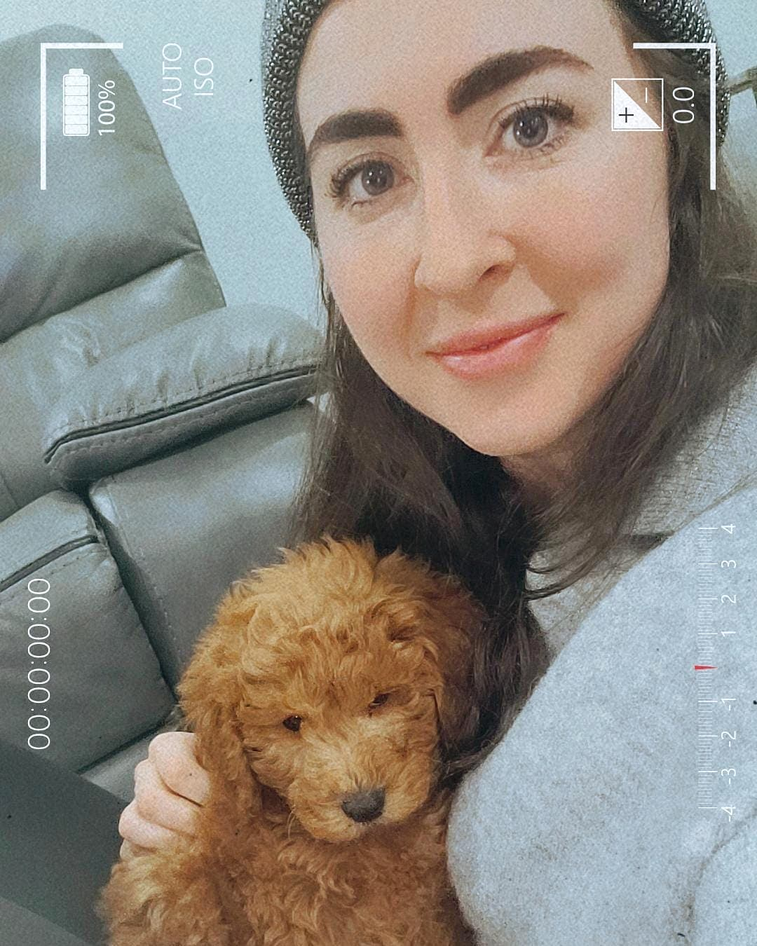 Best Mini Goldendoodle Baby