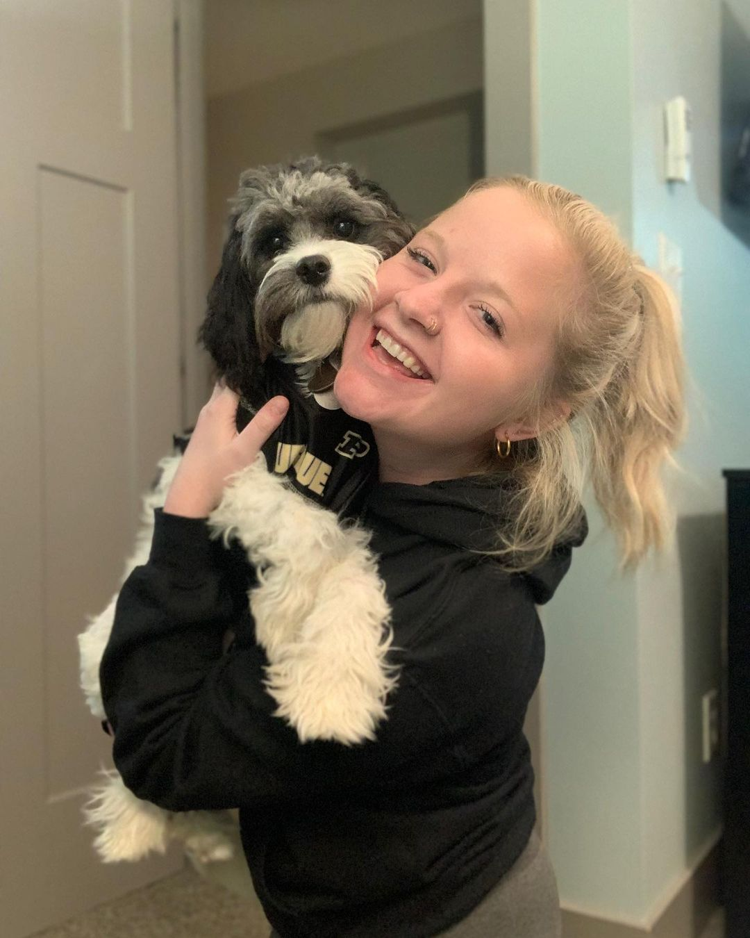 Energetic Cavoodle Poodle Mix Puppy