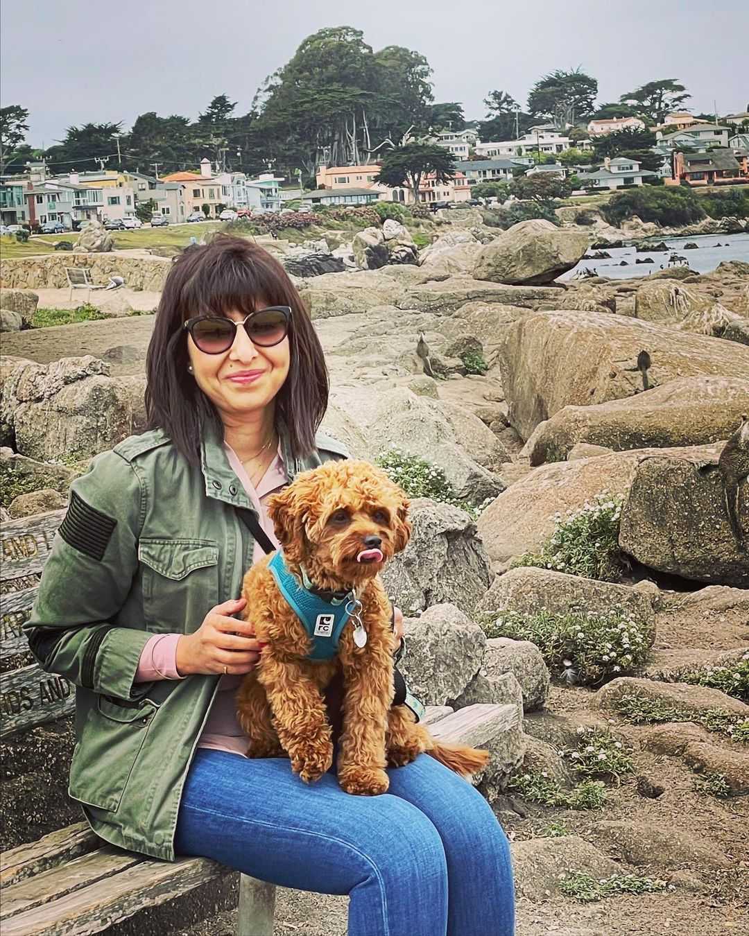 Hypoallergenic Cavoodle Poodle Mix Puppy