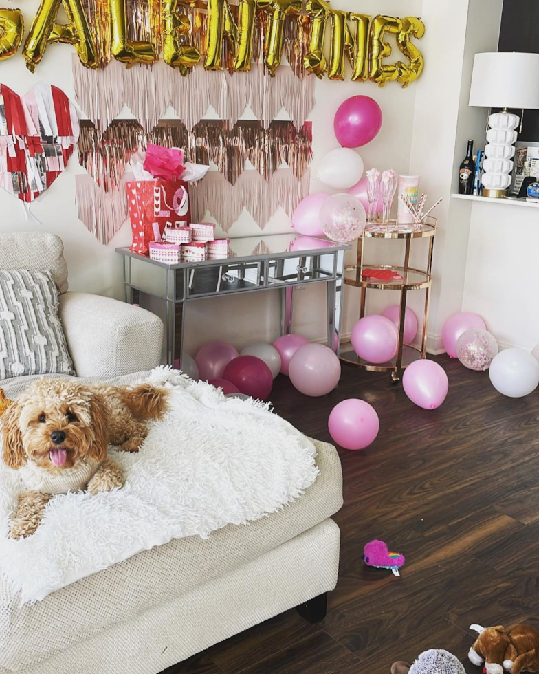 Small Cavapoo Pup in Chicago IL