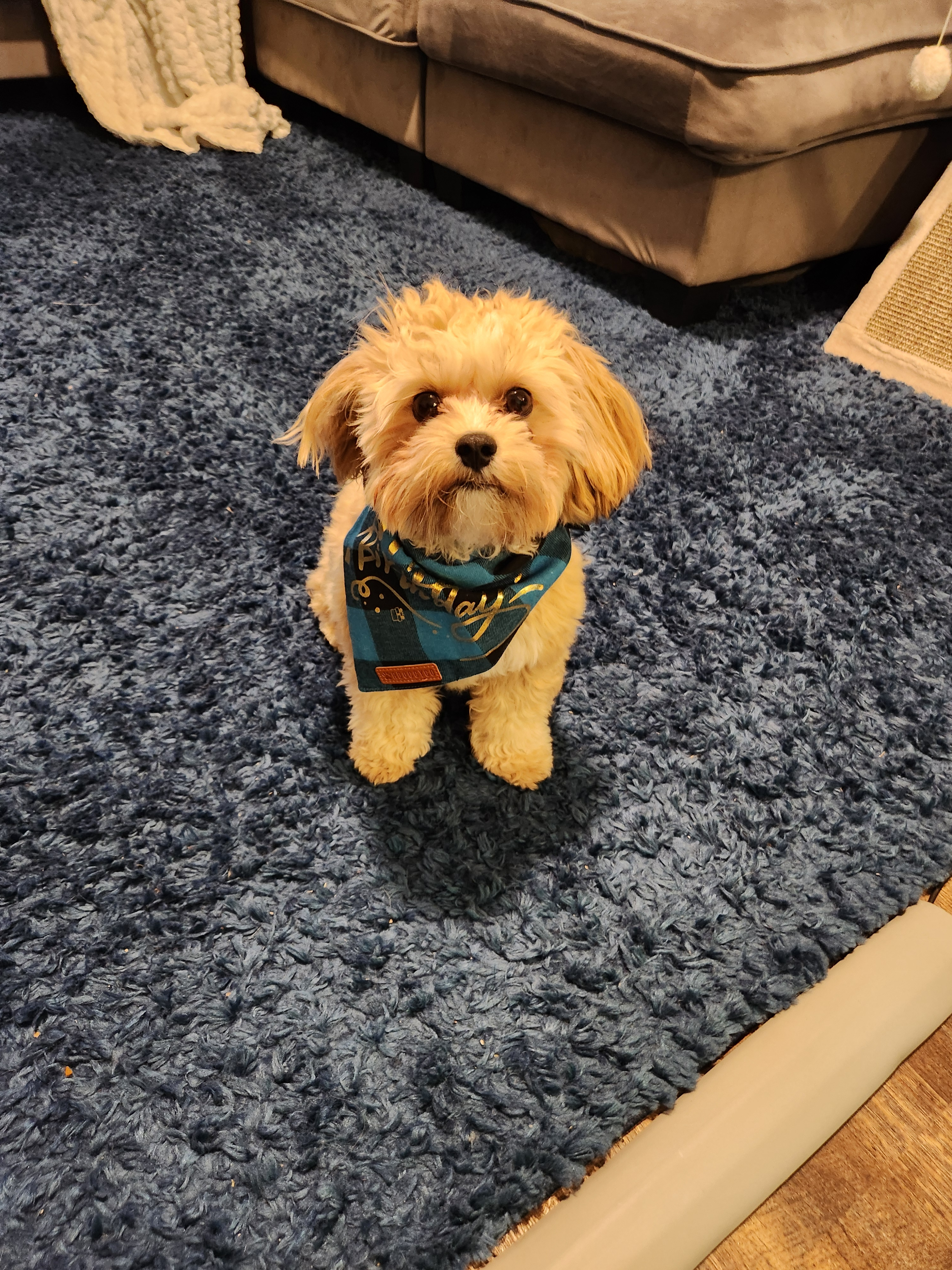 Best Teddy Bear Baby