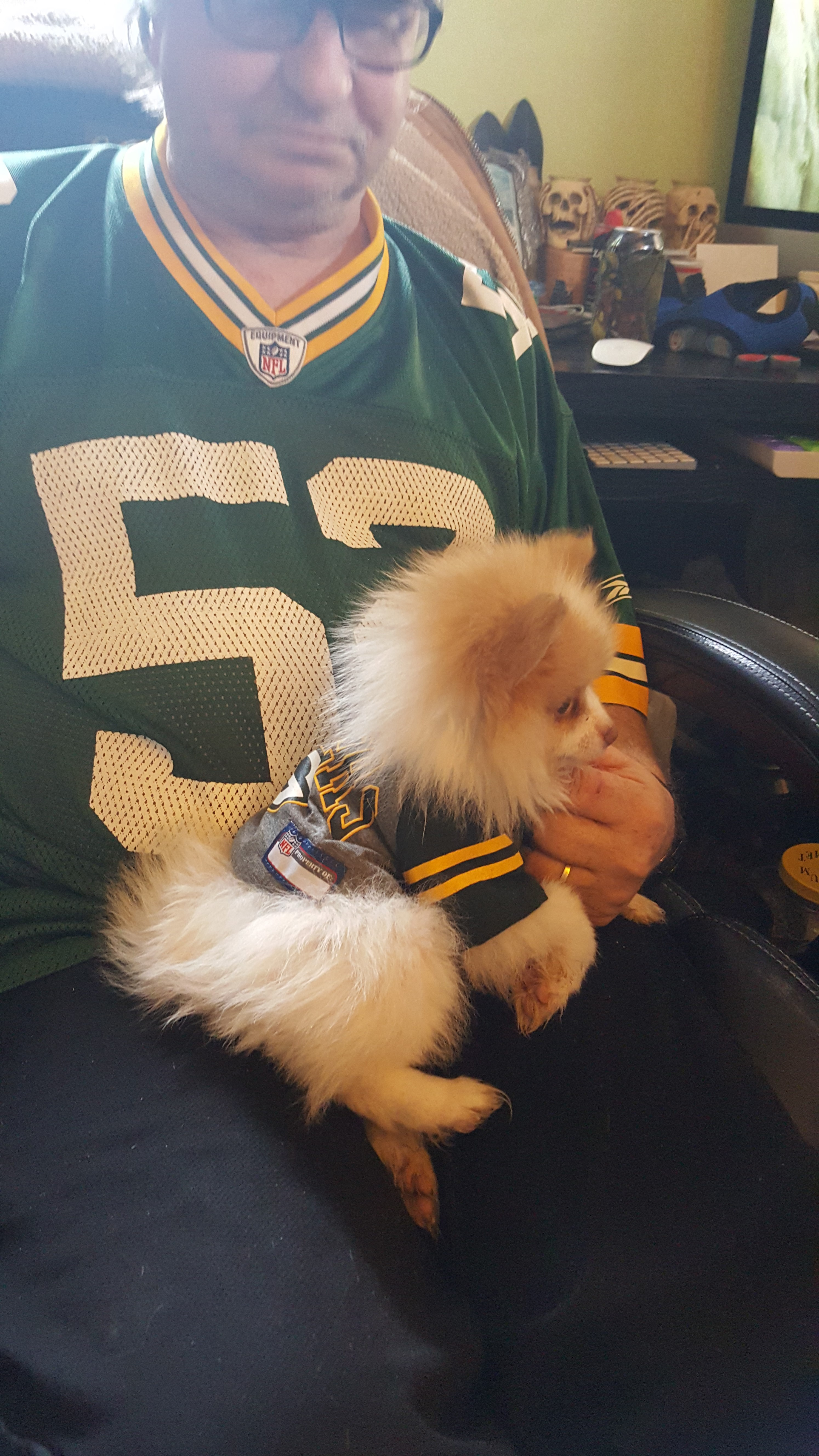 Pomeranian Pup Being Cute
