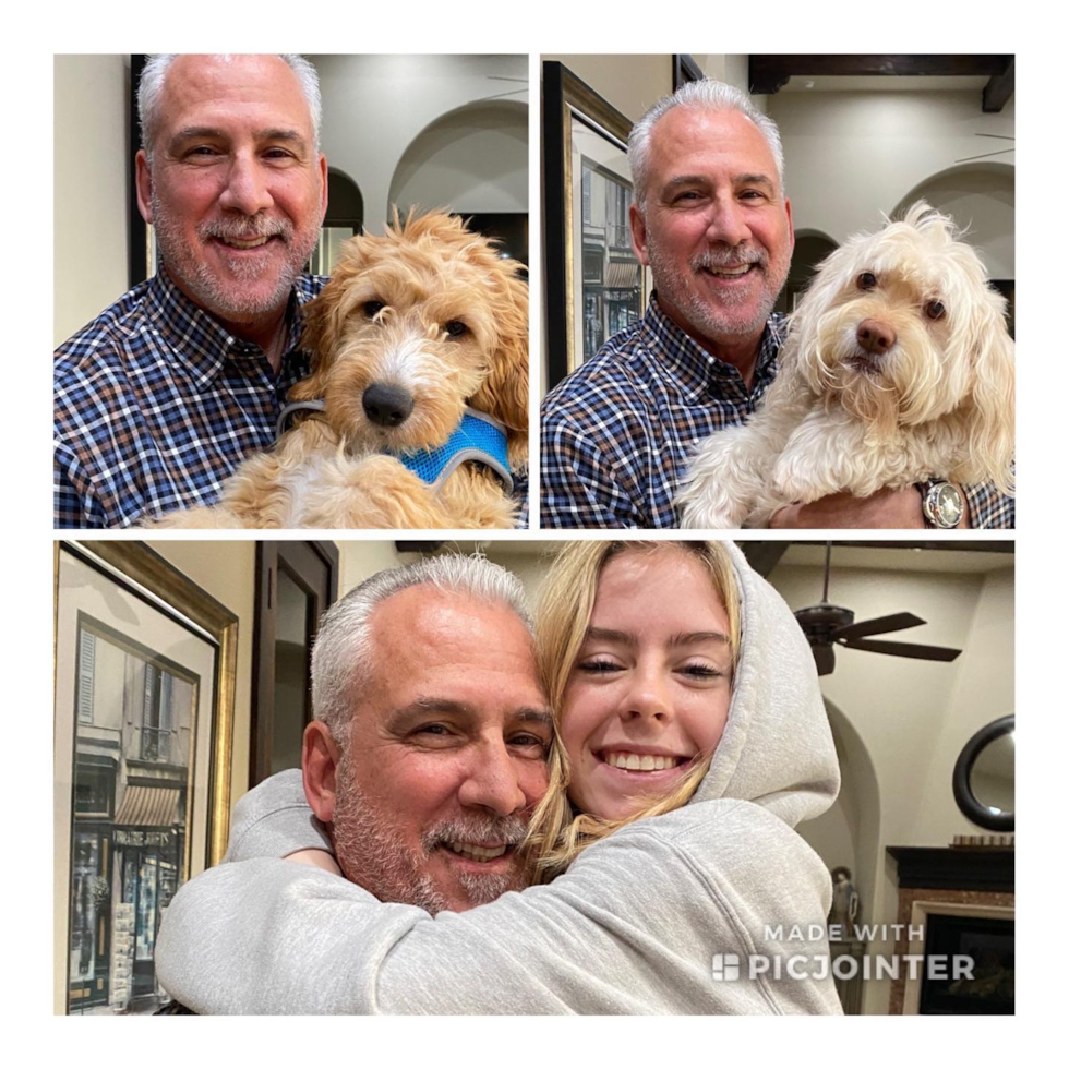 Happy Mini Goldendoodle Pup in Fresno CA