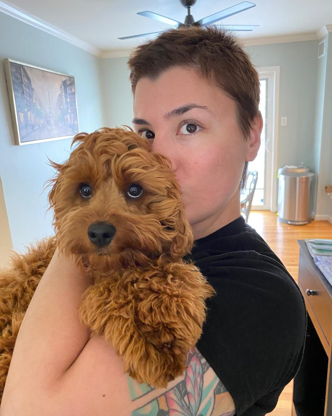 Small Cockapoo Baby