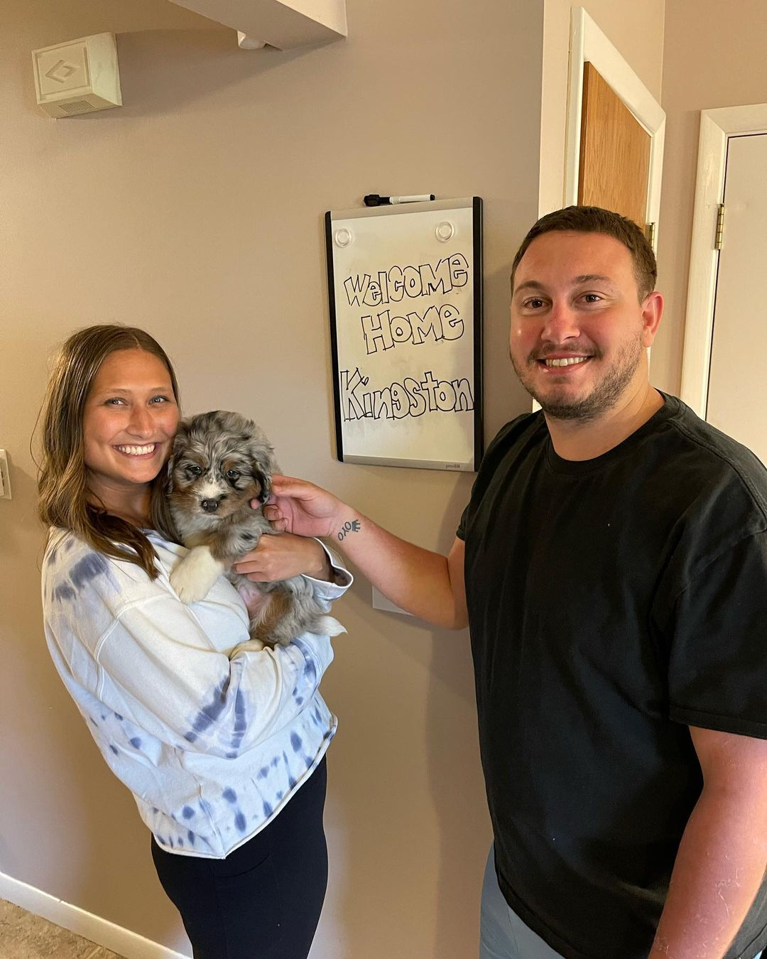 Mini Bernedoodle Puppy for Adoption