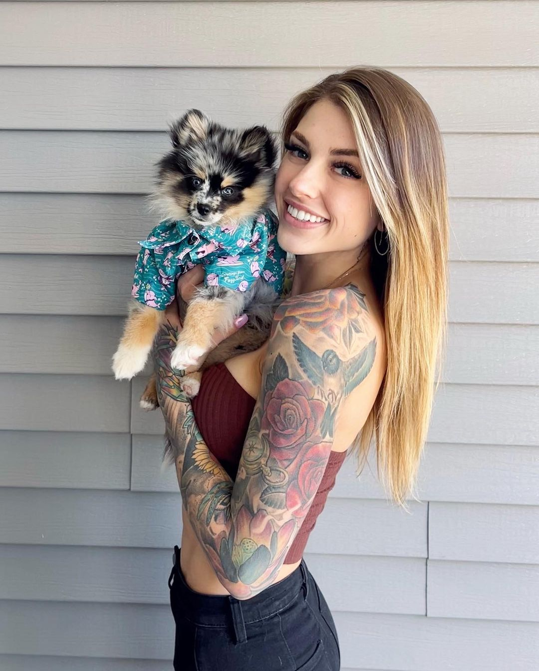 Small Pomsky Baby