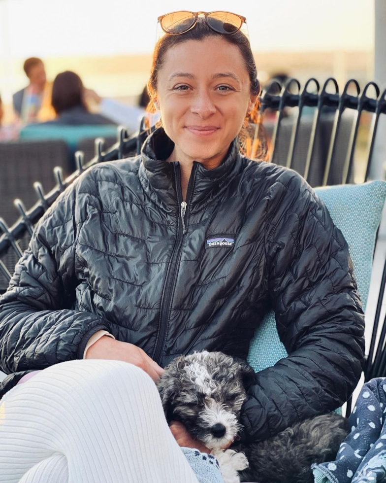 Funny Mini Bernedoodle Poodle Mix Pup