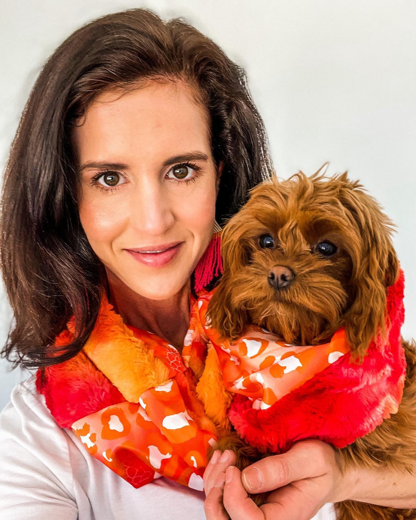 Popular Cavapoo Poodle Mix Pup