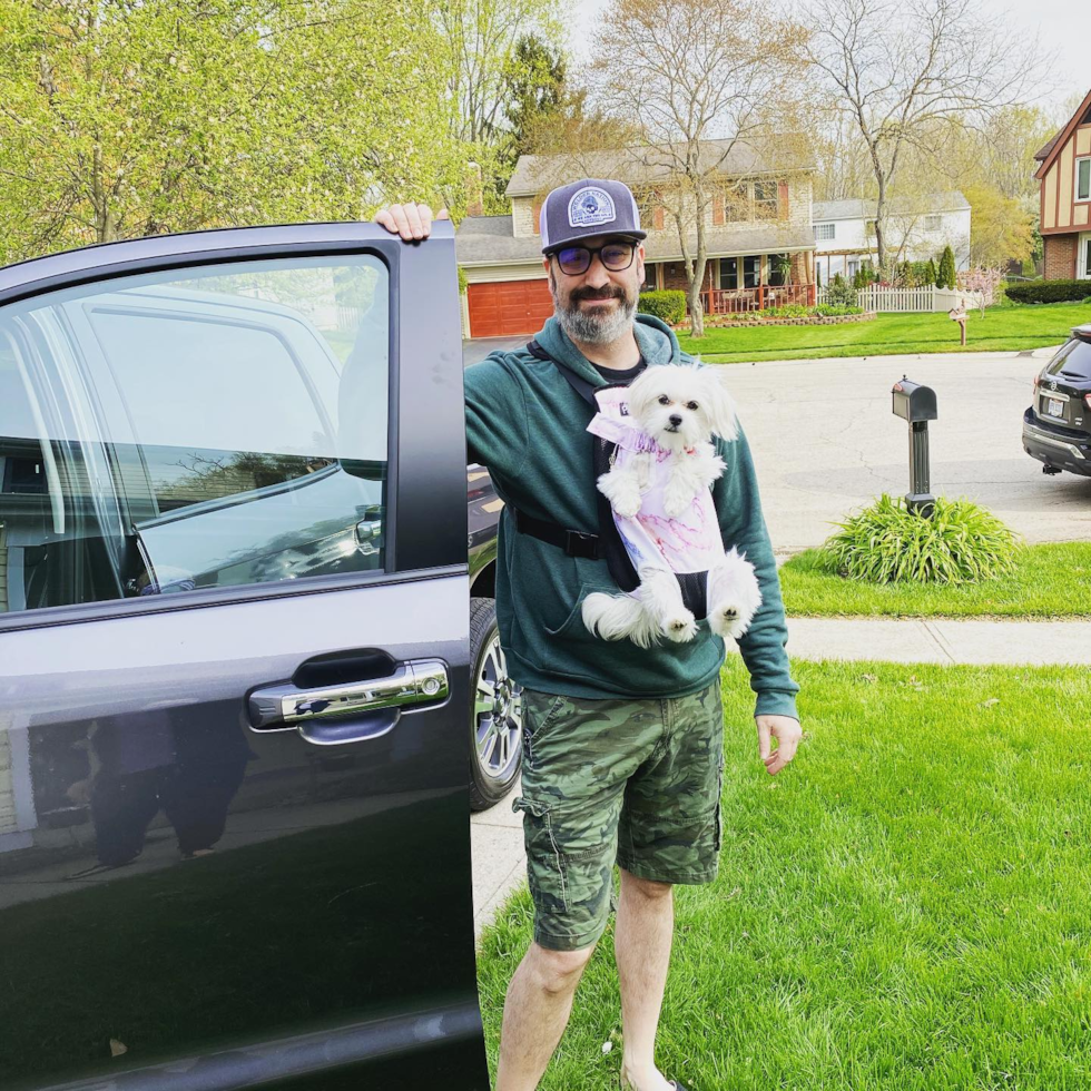 Small Teddy Bear Pup in Gahanna OH