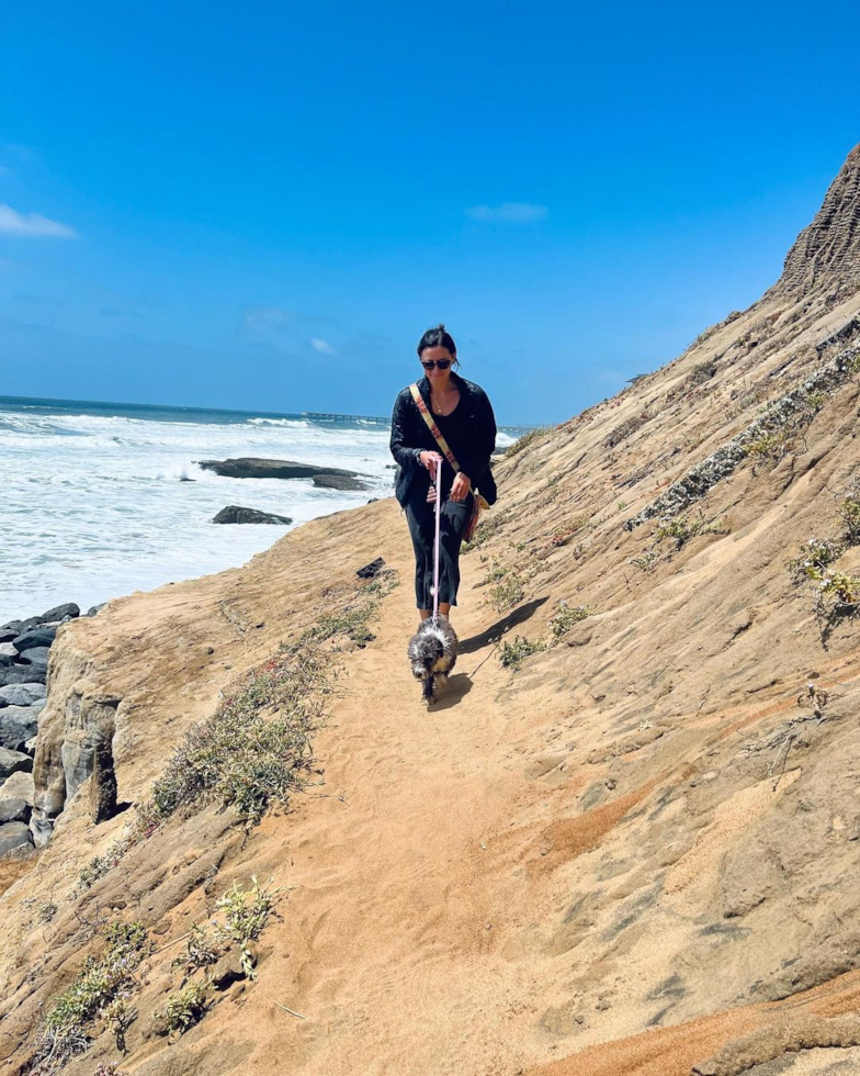 Funny Mini Bernedoodle Poodle Mix Pup