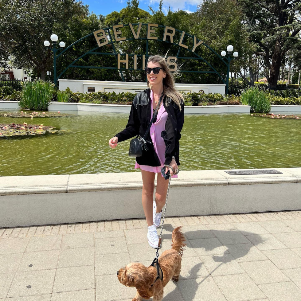 Smart Cavapoo Poodle Mix Pup