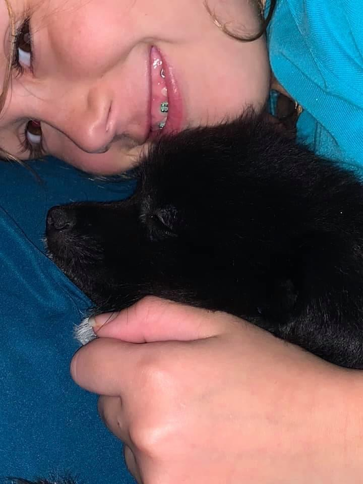 Pomeranian Being Cute