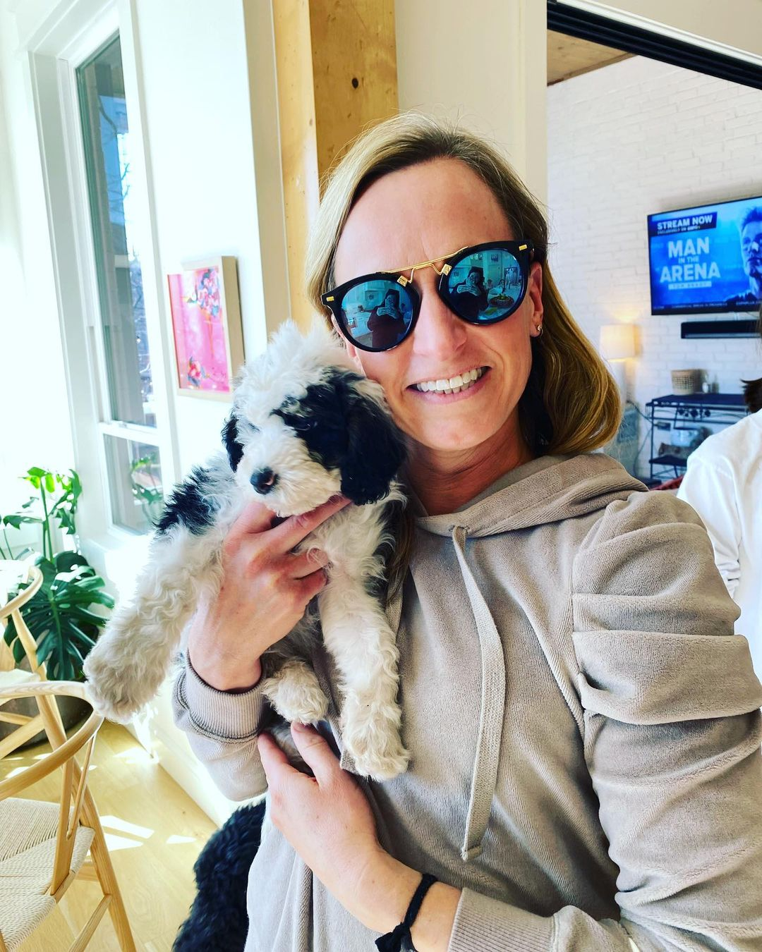 Friendly Mini Sheepadoodle Baby