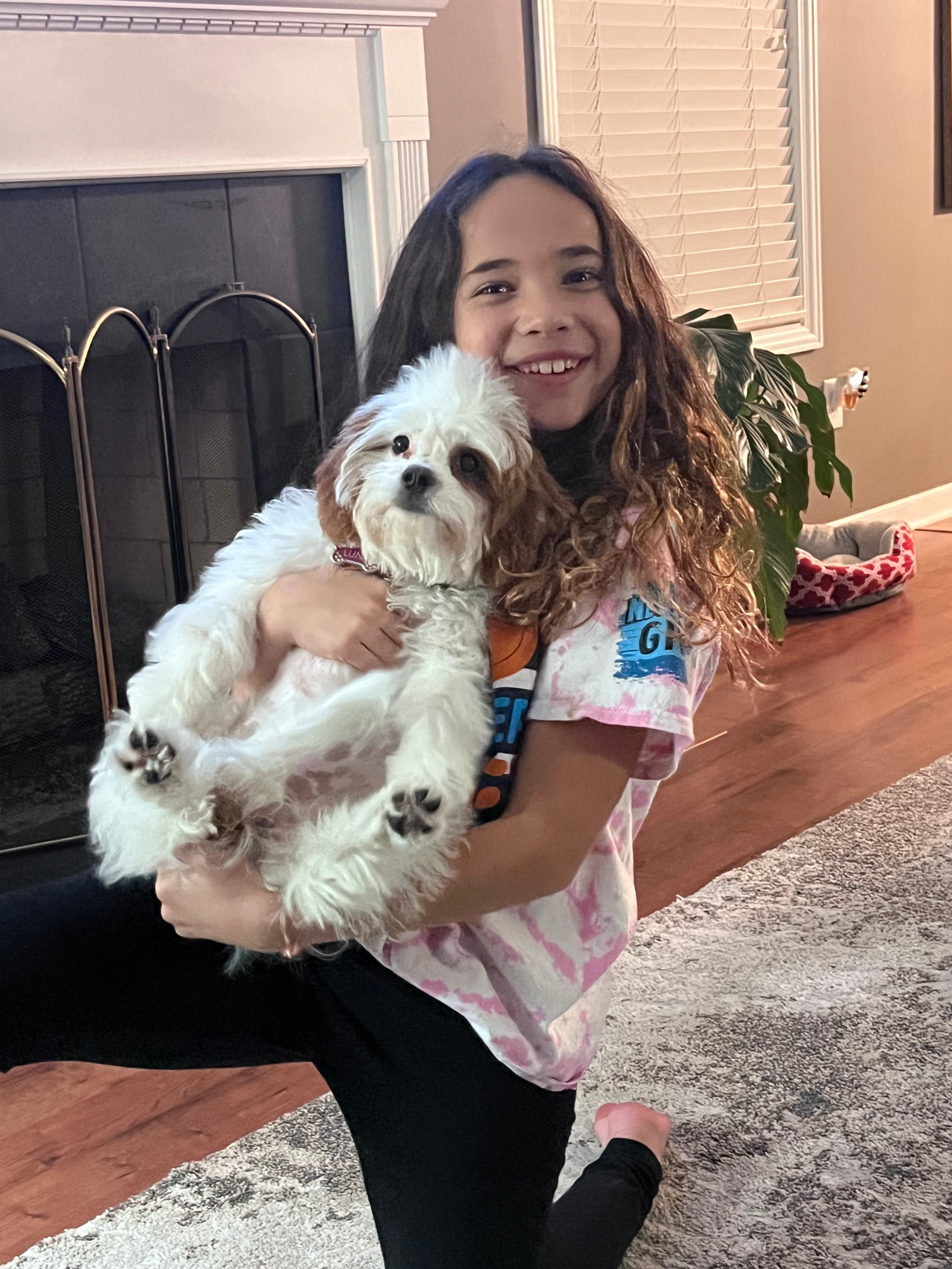 Small Cavapoo Baby