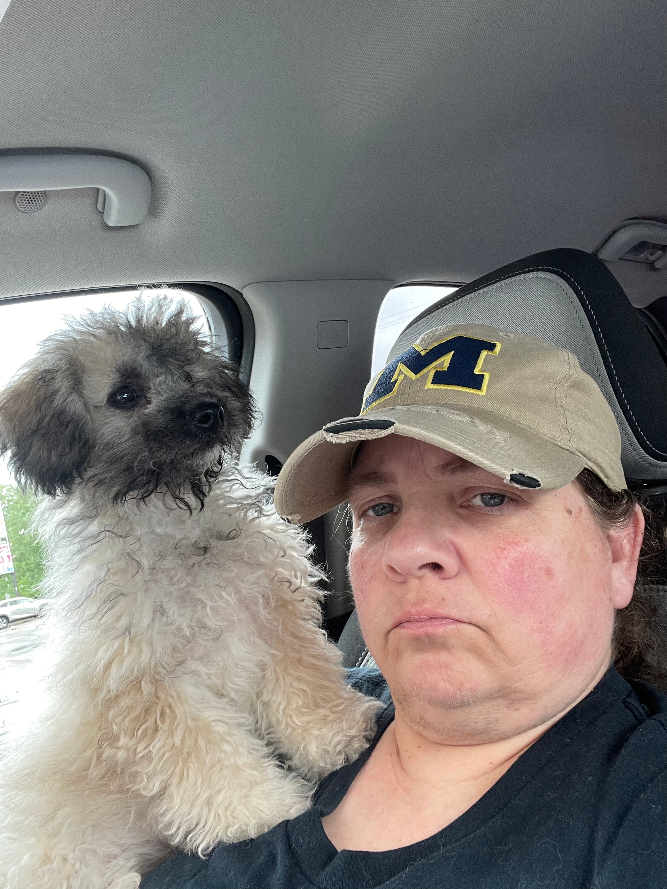 Little Bichpoo Poodle Mix Puppy
