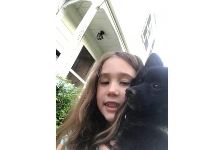 Best Pomeranian Baby