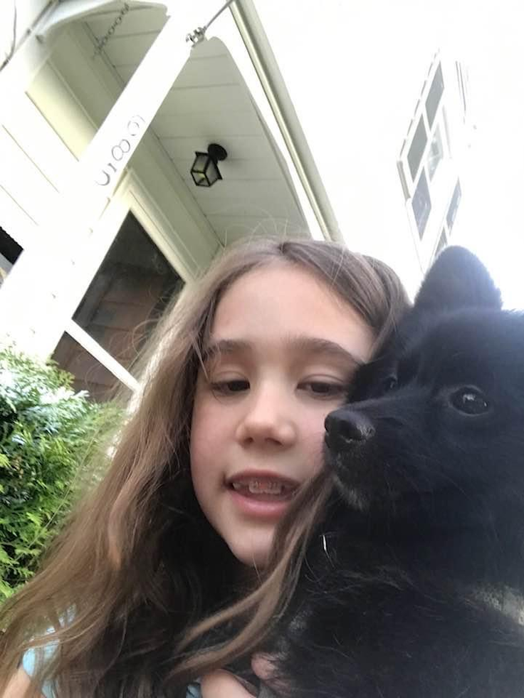 Pomeranian Being Cute