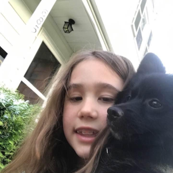 Pomeranian Being Cute