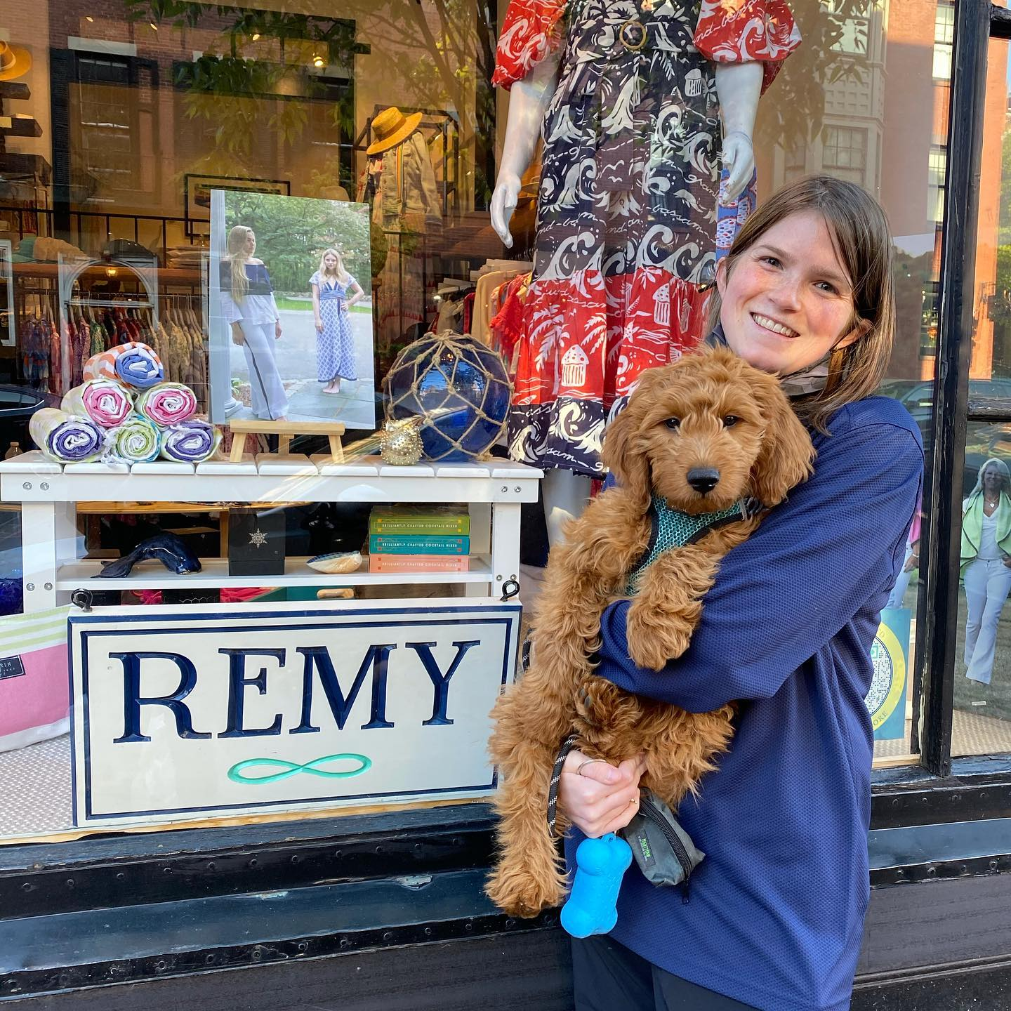 Popular Mini Goldendoodle Poodle Mix Pup