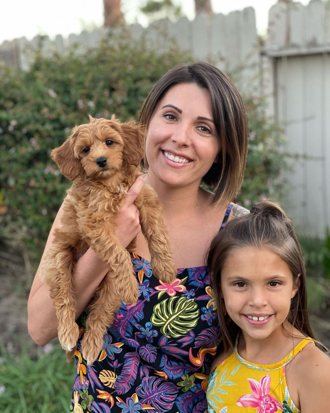 Little Golden Retriever Poodle Mix Puppy