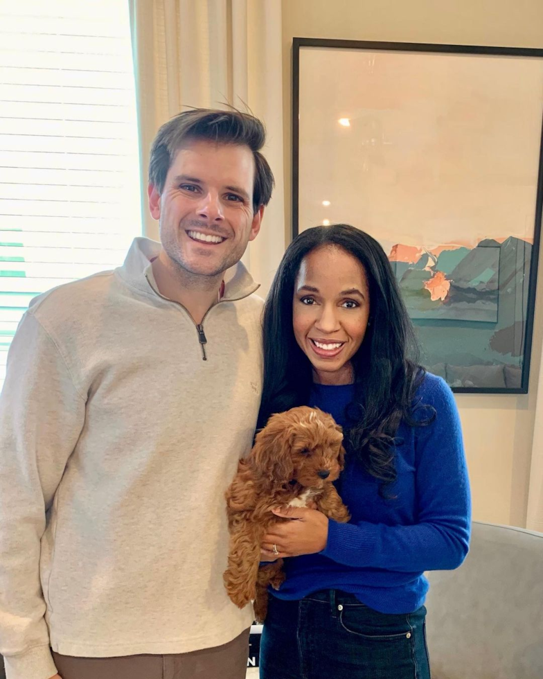 Smart Cavapoo Poodle Mix Pup
