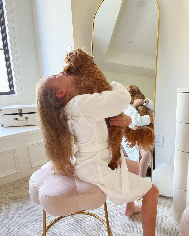 Overland Park Maltipoo Pup