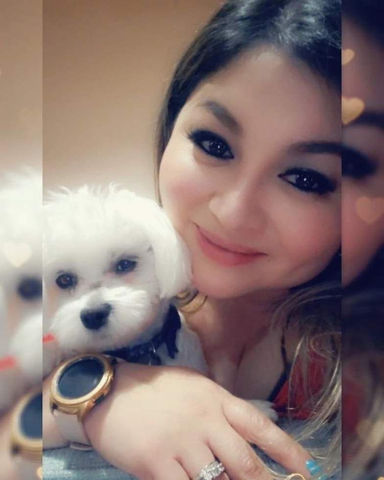 Hypoallergenic Maltese Pup