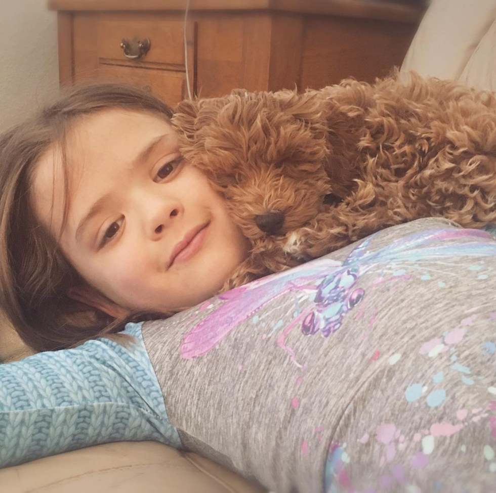 Rio Rancho Cockapoo Pup