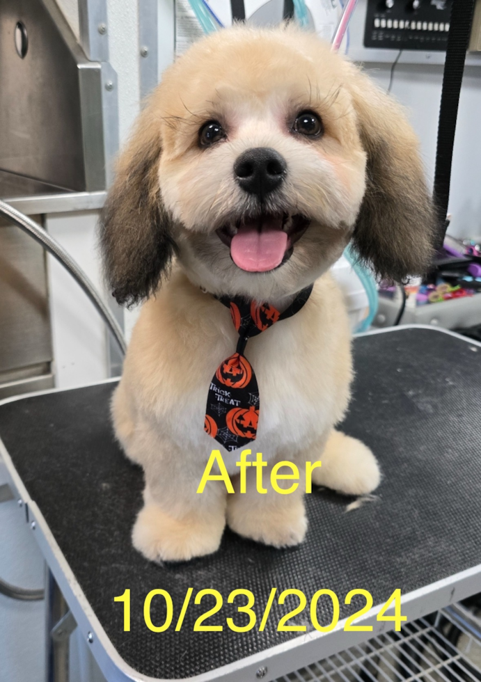 Teddy Bear Being Cute