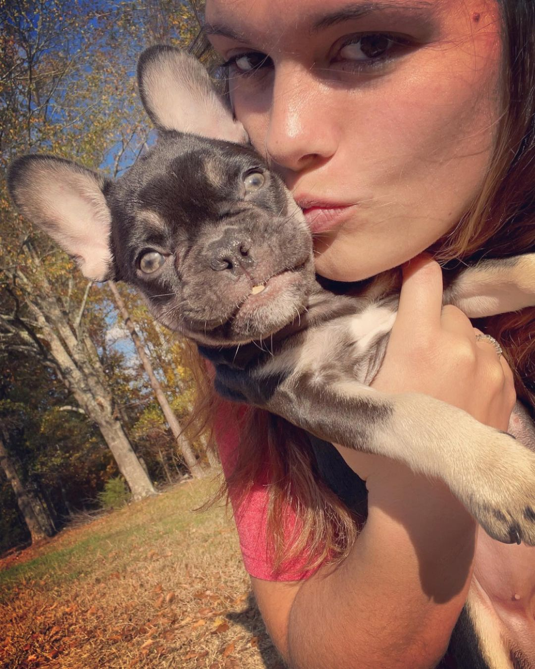 French Bulldog Puppy for Adoption