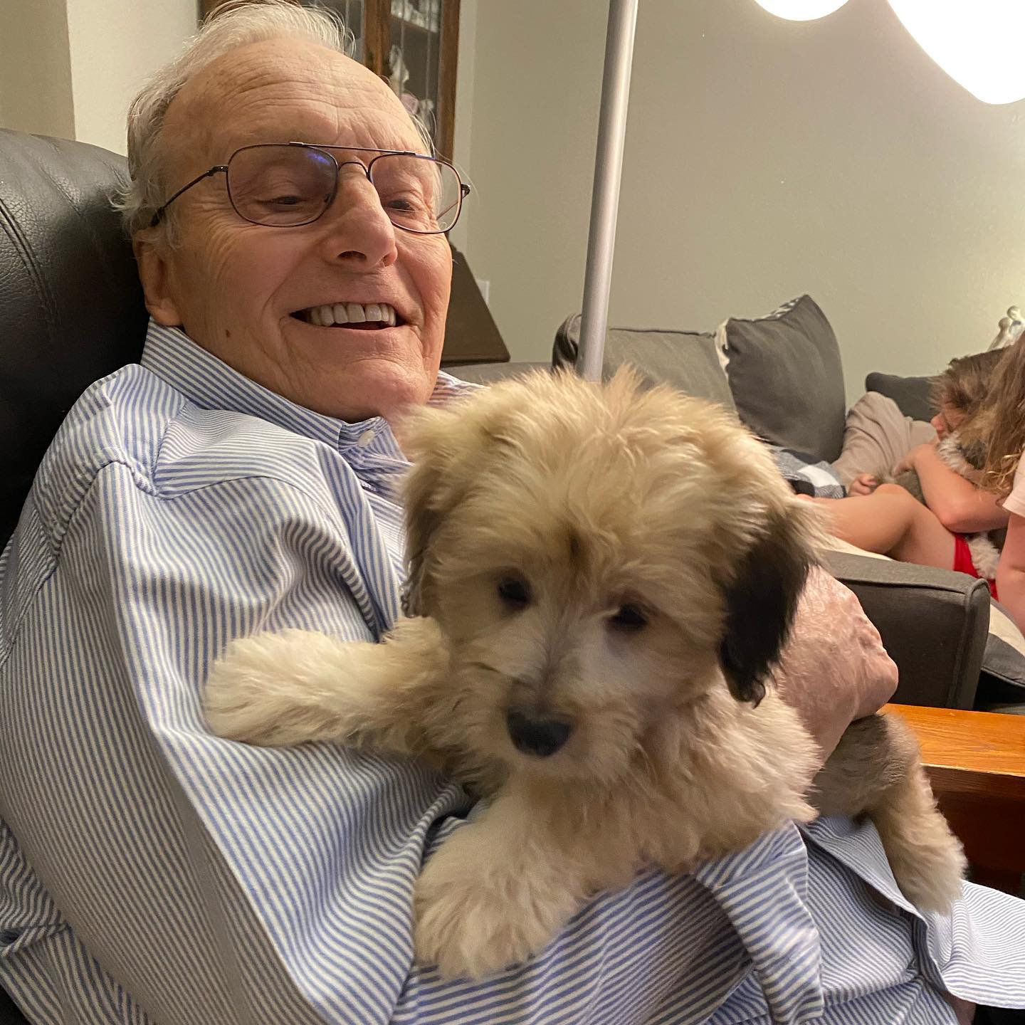 Best Mini Aussiedoodle Baby