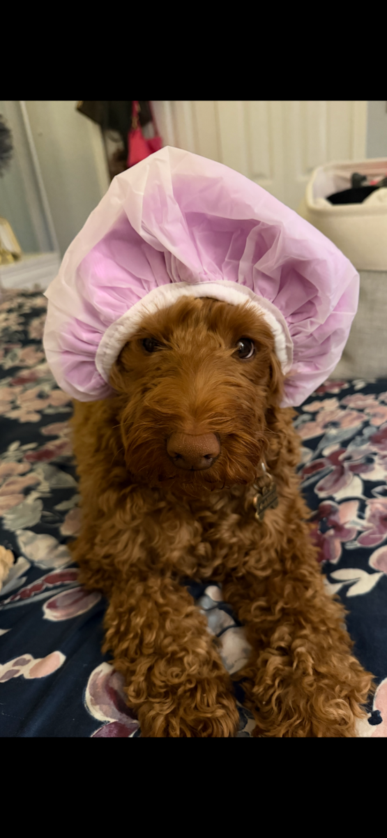 Ellie 