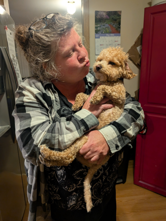 Poochon