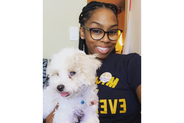 Cockapoo Pup Being Cute