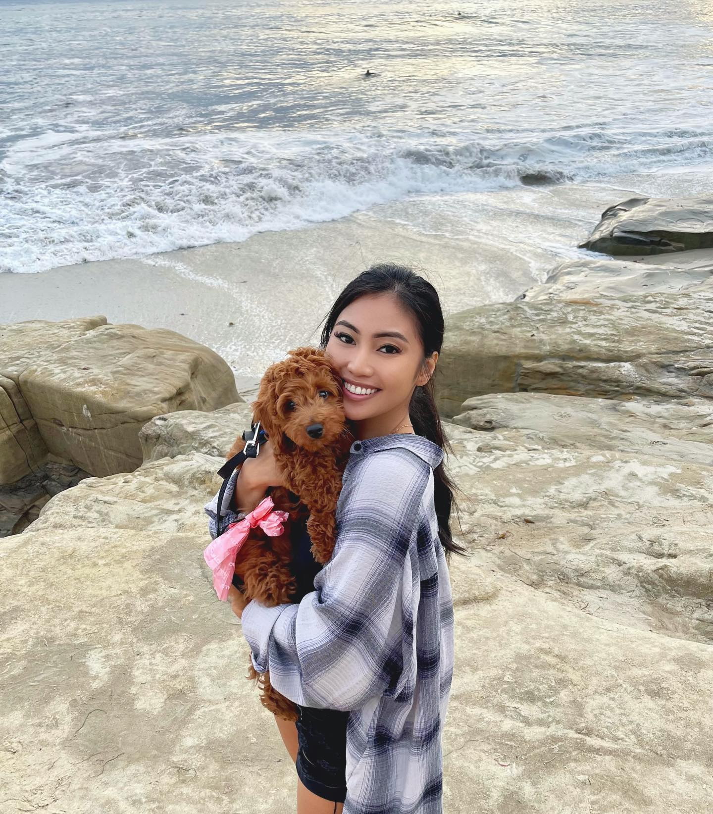 Best Mini Goldendoodle Baby