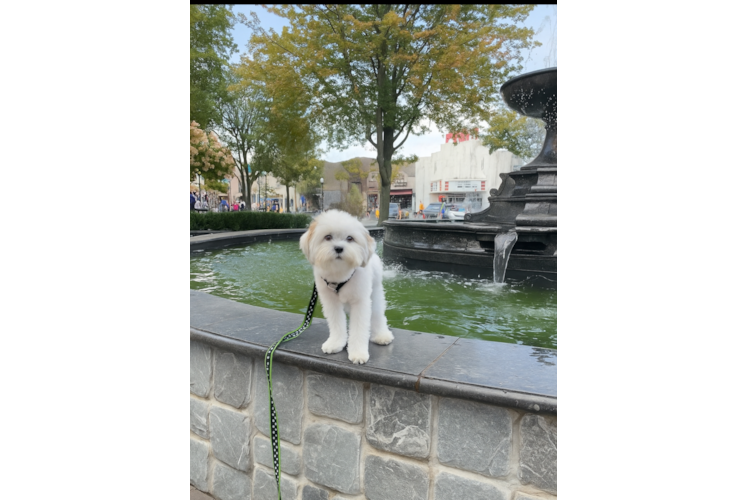 Best Teddy Bear Baby