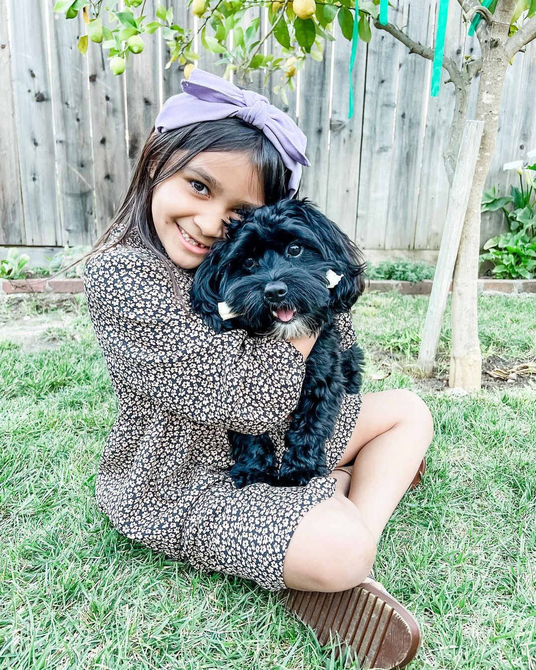 Funny Cavapoo Poodle Mix Pup